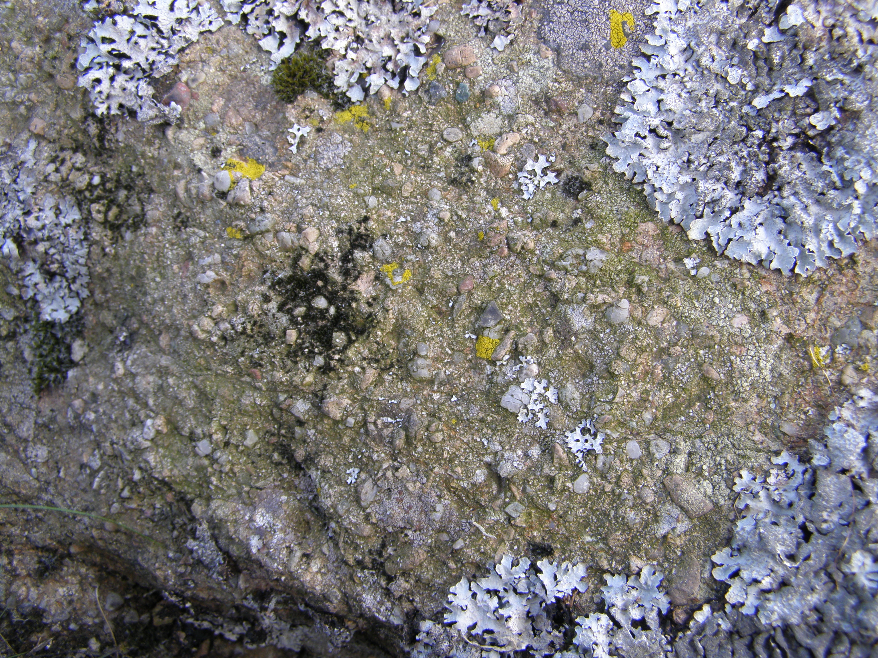 Craigburn Quarry | SGT Geosites