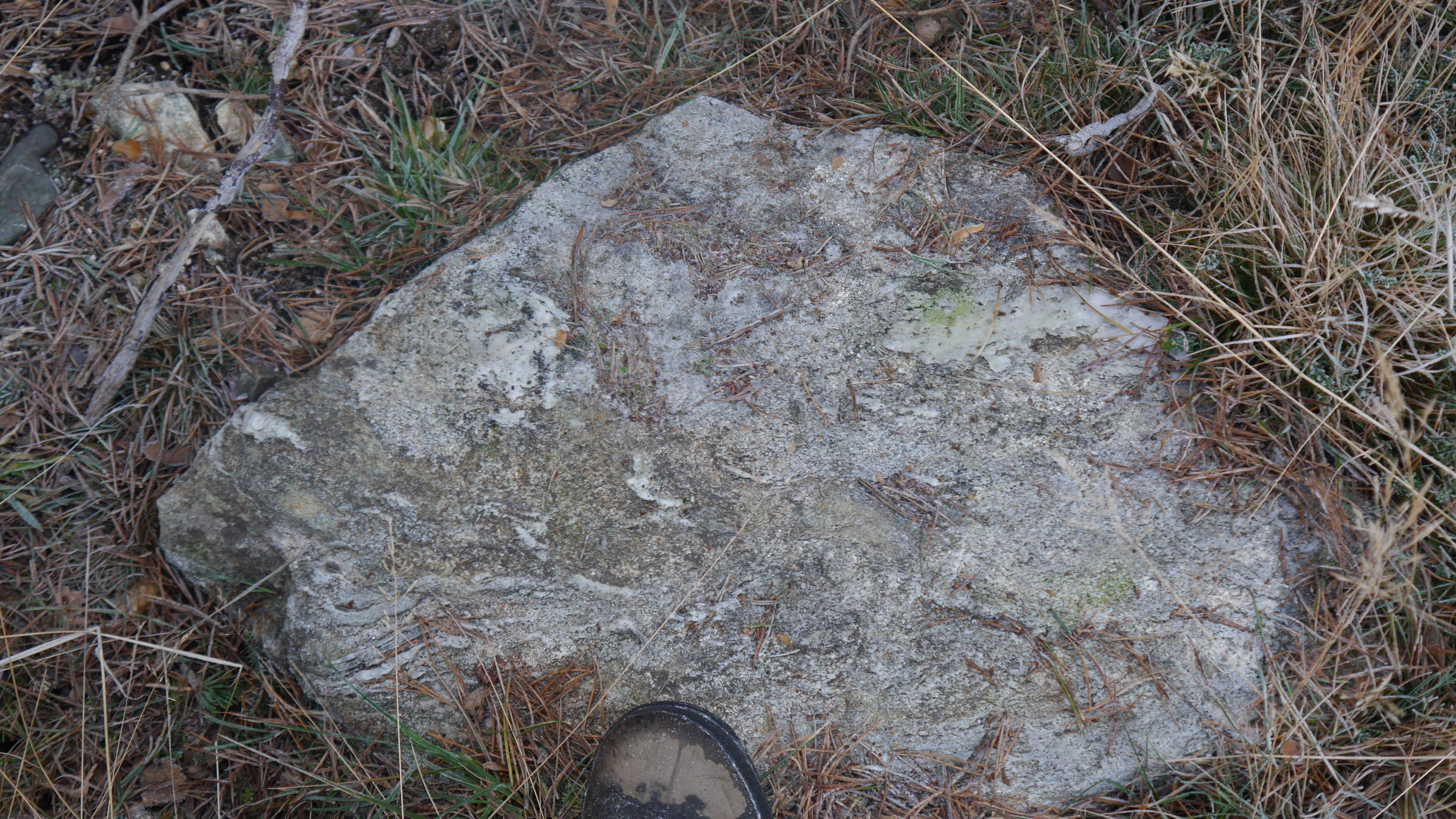 Balnacraig, Dinnet | SGT Geosites