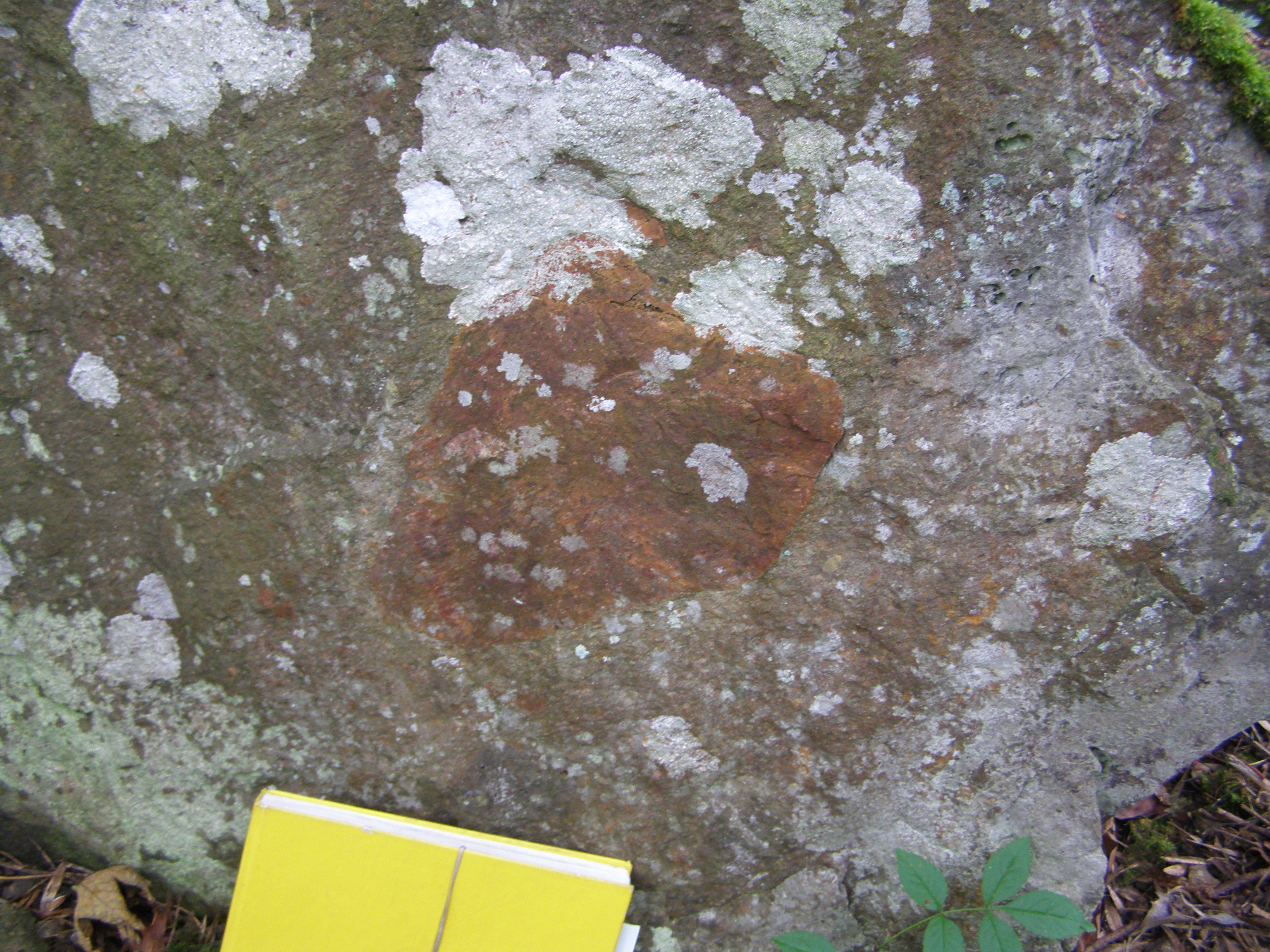 Dingleton Quarry, Melrose | SGT Geosites